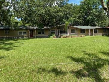 Sprawling front yard with mature trees and a single-story home in the background at 17220 Estes Rd, Lutz, FL 33548