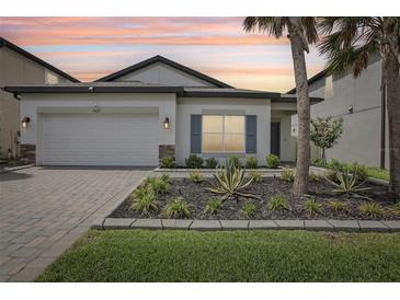 Beautiful one story home with an attached garage, meticulously landscaped front yard, and neutral exterior paint at 10111 Tuscan Sun Ave, Riverview, FL 33578