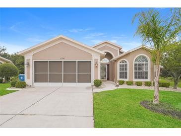 Charming home featuring a well-maintained lawn, two-car garage, and a beautiful palm tree at 11741 Teapot Ct, Spring Hill, FL 34609