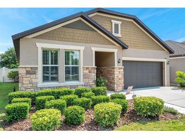 Charming home featuring stone accents, a two-car garage, and lush, manicured landscaping at 11314 American Holly Dr, Riverview, FL 33578