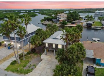 Waterfront home featuring a metal roof, mature palms, and elevated construction providing picturesque views at 3285 Minnow Creek Dr, Hernando Beach, FL 34607