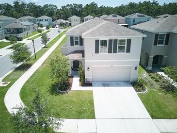 Well-maintained two-story home with a two-car garage and a manicured lawn in a vibrant neighborhood at 10826 Trailing Vine Dr, Tampa, FL 33610