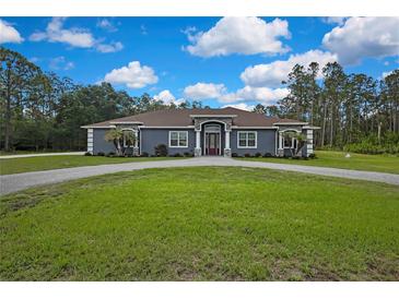 Stunning exterior elevation of a well-manicured single-story home with a circular driveway and elegant landscaping at 27338 Elkwood Cir, Wesley Chapel, FL 33544