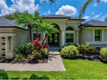 Charming single-story home boasts lush landscaping and a welcoming entrance with a dark-colored, double-door entry at 3909 Valrico Grove Dr, Valrico, FL 33594