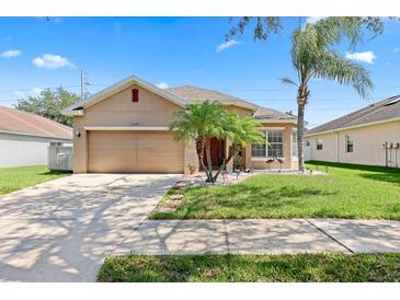Charming single-story home with a well-manicured lawn and mature landscaping at 10536 Shady Preserve Dr, Riverview, FL 33579
