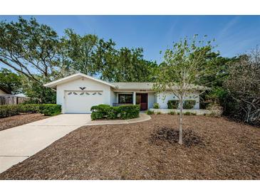 Charming single-story home with a well-manicured lawn and a neatly paved driveway at 1648 Concord St, Dunedin, FL 34698