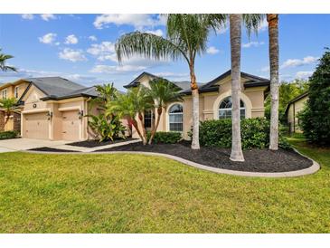 Beautiful exterior view of home featuring a well-manicured lawn and tropical landscaping with mature palm trees at 15135 Azra Dr, Odessa, FL 33556