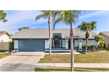 Charming single-story home featuring a well-maintained front yard with palm trees and an attached two-car garage at 8638 Chadwick Dr, Tampa, FL 33635