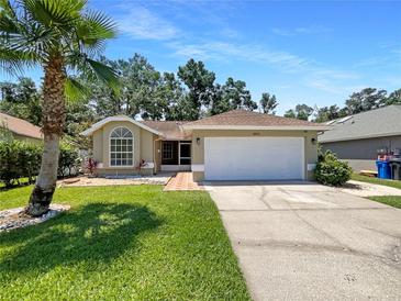 Charming single-story home with a well-manicured lawn and a palm tree in the front yard at 8812 Bayaud Dr, Tampa, FL 33626