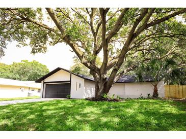 Charming home with a well-maintained lawn and a large, mature tree providing ample shade at 4260 Saint Lawrence Dr, New Port Richey, FL 34655