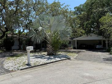 Charming single-story home featuring mature landscaping, a covered carport, and a classic white mailbox at 7601 Pine Hill Dr, Tampa, FL 33617