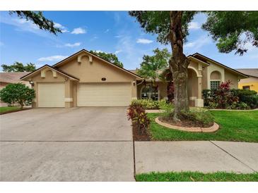 Charming single-story home with a well-manicured lawn, mature tree, and a three-car garage at 905 Balsamina Dr, Brandon, FL 33510