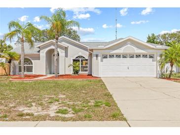 Charming single-story home with a two-car garage, well-manicured lawn, and beautiful palm trees at 10538 Juliano Dr, Riverview, FL 33569