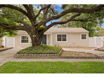 Charming home exterior featuring a mature oak tree and well-maintained landscaping at 4121 W San Nicholas St, Tampa, FL 33629
