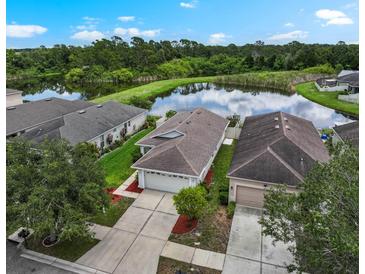 Inviting home with a picturesque pond view, surrounded by lush greenery and well-maintained landscaping at 816 College Chase Dr, Ruskin, FL 33570