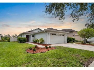 Charming single-story home featuring a two-car garage, well-manicured lawn, and a welcoming front entrance at 816 College Chase Dr, Ruskin, FL 33570