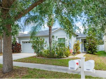 Charming single-story home with well-manicured landscaping and inviting curb appeal at 13803 Chalk Hill Pl, Riverview, FL 33579