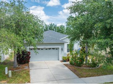 Charming single-story home featuring a two-car garage, well-maintained landscaping, and a welcoming entrance at 13803 Chalk Hill Pl, Riverview, FL 33579