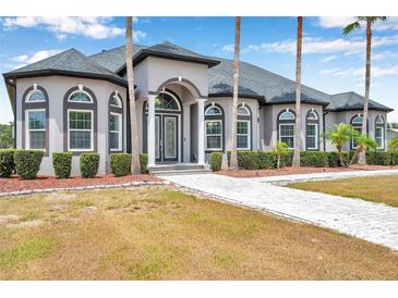 Charming home with a landscaped front yard, elegant columns, and arched windows that enhance its curb appeal at 602 Swilley Rd, Plant City, FL 33567