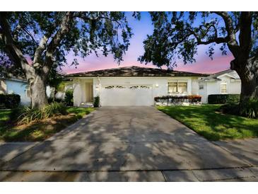 Charming single-story home featuring a well-manicured lawn, mature trees, and an attached two-car garage at 1175 San Carlos Ne Ave, St Petersburg, FL 33702