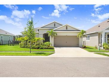 Charming single-story home with a well-manicured lawn and tropical landscaping in a bright, sunny setting at 6097 Golden Nettle Dr, Apollo Beach, FL 33572