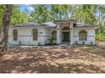 Well-maintained home with a front yard and stylish architectural details at 7644 Conrad St, Wesley Chapel, FL 33544