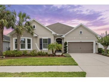 Beautiful single-story home featuring manicured lawn, attached two-car garage, and lush, tropical landscaping at 1767 Tonka Ter, Wesley Chapel, FL 33543