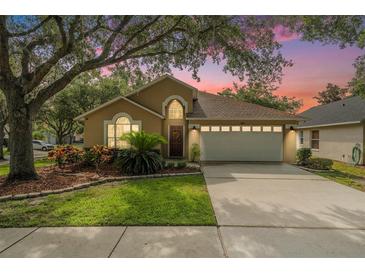 Charming single-story home with a well-maintained lawn and a two-car garage in a nice neighborhood at 18967 Wood Sage Dr, Tampa, FL 33647