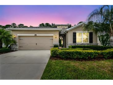 Charming single-story home featuring a two-car garage, manicured lawn, and inviting curb appeal at 32825 Sand Creek Dr, Wesley Chapel, FL 33543