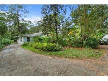 Charming single story home with lush landscaping and a long driveway at 15012 N 301 Hwy, Thonotosassa, FL 33592