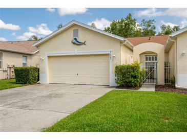Charming single-Gathering home boasts a two-car garage, manicured lawn, and welcoming gated entrance at 21209 Diamonte Dr, Land O Lakes, FL 34637