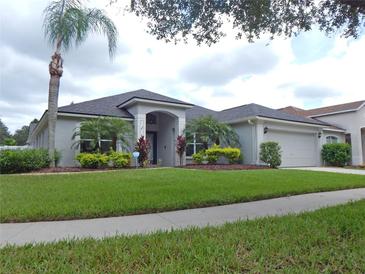 Landscaped front yard featuring a palm tree and manicured lawn leading to a single-story home at 5815 Heronview Crescent Dr, Lithia, FL 33547