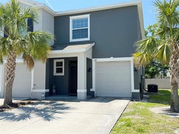 Two-story home with a two-car garage, palm trees, and a well-maintained front lawn at 821 Lucent Sands Ct, Brandon, FL 33511