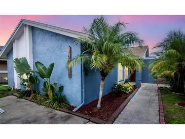 Charming blue house featuring a well-maintained landscape with tropical plants and decorative rock at 10325 Parkcrest Dr, Tampa, FL 33624