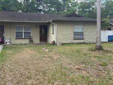 Tan single-story home with a brown front door and two windows, with a large palm tree in the front yard at 201 Lentz Rd, Brandon, FL 33510