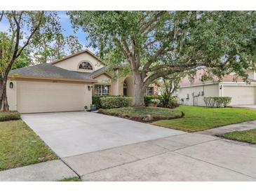 Charming single-story home with a large driveway, mature landscaping, and a welcoming facade at 18017 Palm Breeze Dr, Tampa, FL 33647