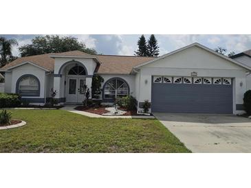 Charming single-story home featuring a well-manicured lawn, beautiful landscaping, and attached two-car garage at 4500 Onorio St, New Port Richey, FL 34653