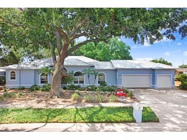Charming single-story home with lush landscaping, mature trees, and a three-car garage at 613 Sportsman Park Dr, Seffner, FL 33584