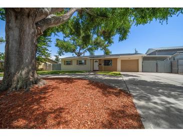 Charming single-story home with well-kept lawn, mulch bed, and mature shade tree at 6282 41St N Ave, St Petersburg, FL 33709