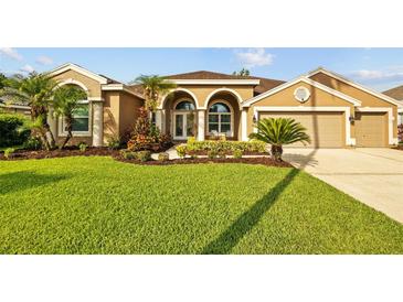 Charming single-story home with a well-manicured lawn and beautiful landscaping at 12009 Wandsworth Dr, Tampa, FL 33626