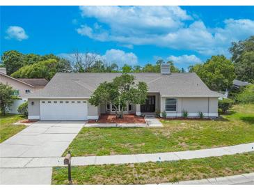 Charming single-story home featuring a well-manicured lawn, mature tree, and inviting front entrance at 465 Holly Hill Rd, Oldsmar, FL 34677