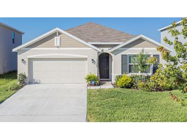 Charming single-story home with a well-manicured lawn and attached two-car garage at 33488 Elm Hill Br, Wesley Chapel, FL 33545
