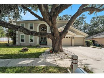 Stunning home exterior with a three car garage and a beautiful tree dominating the front yard at 709 Grand Canyon Dr, Valrico, FL 33594