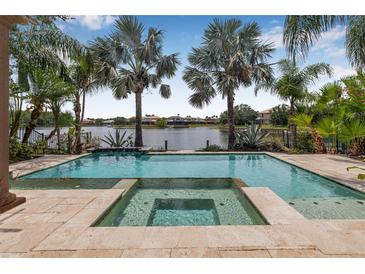 Inviting pool and spa overlook a serene lake, framed by lush palm trees and landscaping at 18036 Java Isle Dr, Tampa, FL 33647