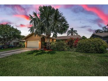 Charming single Gathering home with mature landscaping and a well-manicured lawn under a colorful sky at 1281 Amberlea E Dr, Dunedin, FL 34698