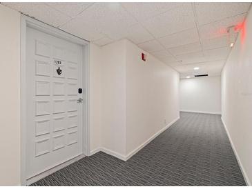 Condo hallway with gray carpet and a white door with unit number at 6265 Sun Blvd # 1203, St Petersburg, FL 33715
