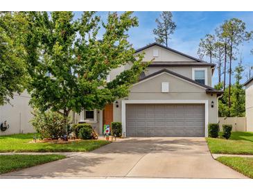 Charming home featuring a well-manicured lawn and a two-car garage, creating a welcoming curb appeal at 7034 Emerald Spring Loop, New Port Richey, FL 34653