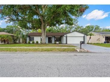 Charming single-story home featuring a well-maintained lawn, mature tree, and a two-car garage at 4706 Fox Hunt Dr, Tampa, FL 33624