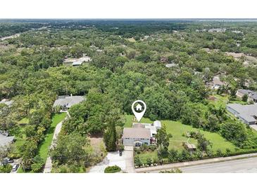 Expansive aerial view of a private residence nestled among lush greenery and mature trees at 1709 Main St, Safety Harbor, FL 34695