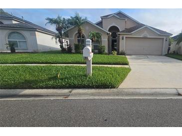 Charming two-story home featuring a well-manicured lawn, arched entryway, and a two-car garage at 30445 Tremont Dr, Wesley Chapel, FL 33543
